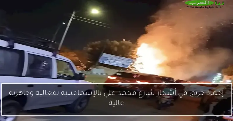 إخماد حريق في أشجار شارع محمد علي بالإسماعيلية بفعالية وجاهزية عالية