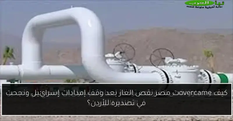 كيف overcameت مصر نقص الغاز بعد وقف إمدادات إسرائيل ونجحت في تصديره للأردن؟