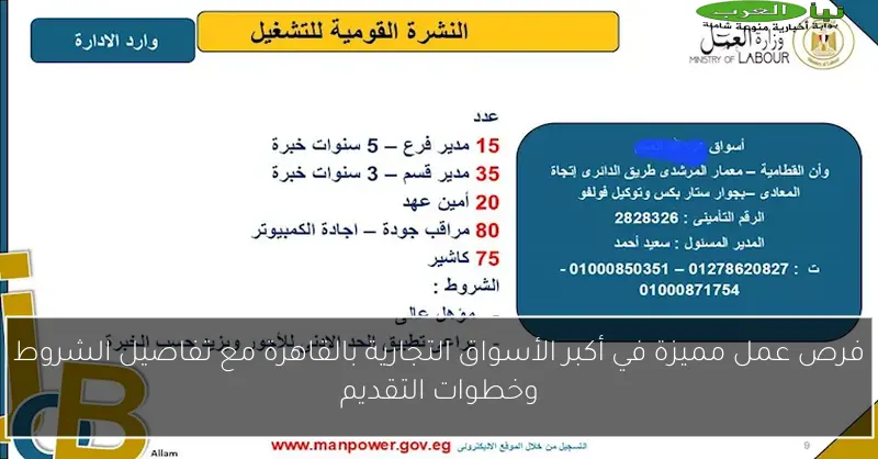 فرص عمل مميزة في أكبر الأسواق التجارية بالقاهرة مع تفاصيل الشروط وخطوات التقديم