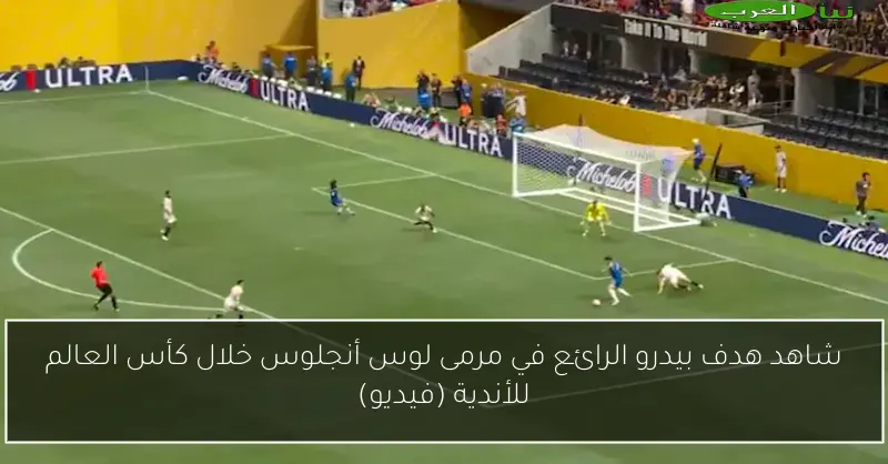 شاهد هدف بيدرو الرائع في مرمى لوس أنجلوس خلال كأس العالم للأندية (فيديو)