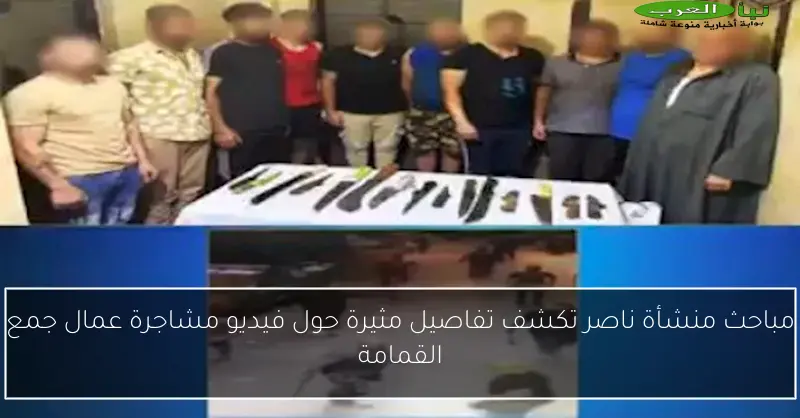 مباحث منشأة ناصر تكشف تفاصيل مثيرة حول فيديو مشاجرة عمال جمع القمامة
