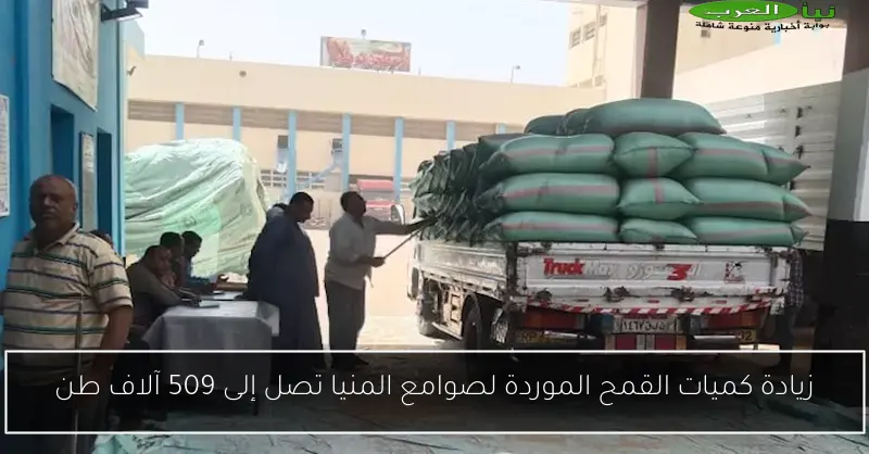 زيادة كميات القمح الموردة لصوامع المنيا تصل إلى 509 آلاف طن