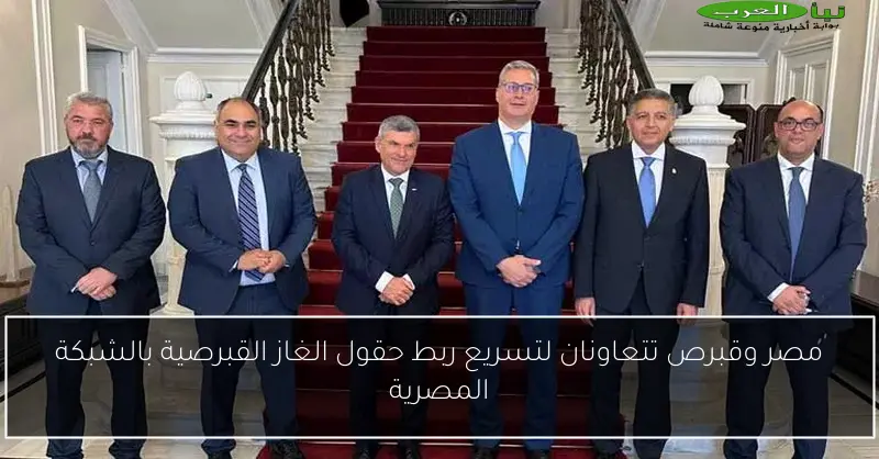 مصر وقبرص تتعاونان لتسريع ربط حقول الغاز القبرصية بالشبكة المصرية