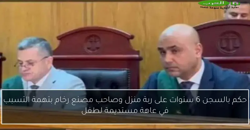 حكم بالسجن 6 سنوات على ربة منزل وصاحب مصنع رخام بتهمة التسبب في عاهة مستديمة لطفل
