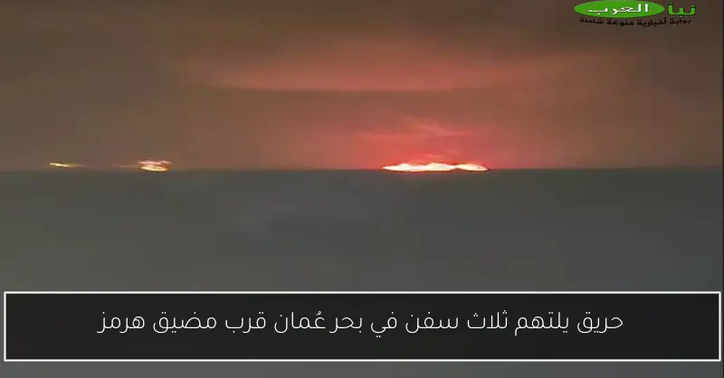 حريق يلتهم ثلاث سفن في بحر عُمان قرب مضيق هرمز