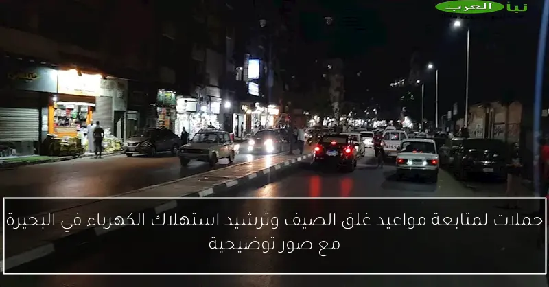 حملات لمتابعة مواعيد غلق الصيف وترشيد استهلاك الكهرباء في البحيرة مع صور توضيحية