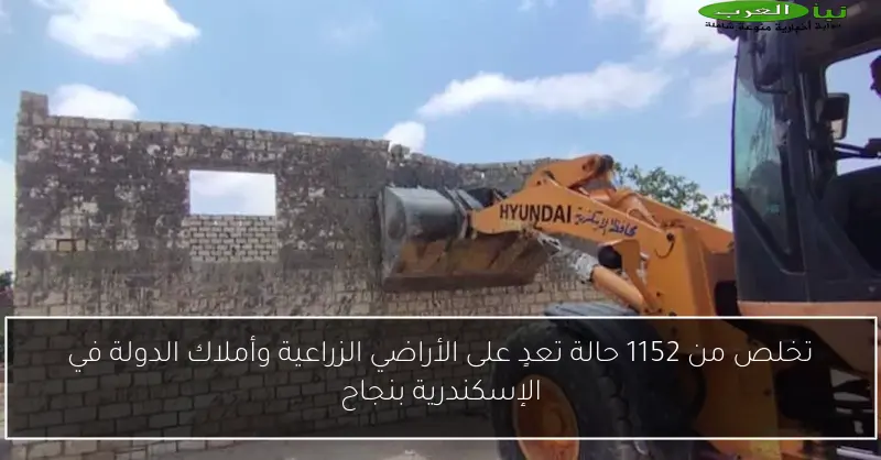 تخلص من 1152 حالة تعدٍ على الأراضي الزراعية وأملاك الدولة في الإسكندرية بنجاح
