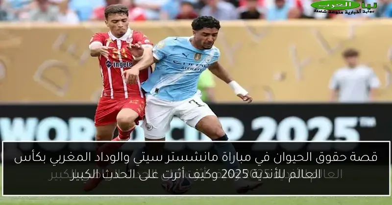 قصة حقوق الحيوان في مباراة مانشستر سيتي والوداد المغربي بكأس العالم للأندية 2025 وكيف أثرت على الحدث الكبير