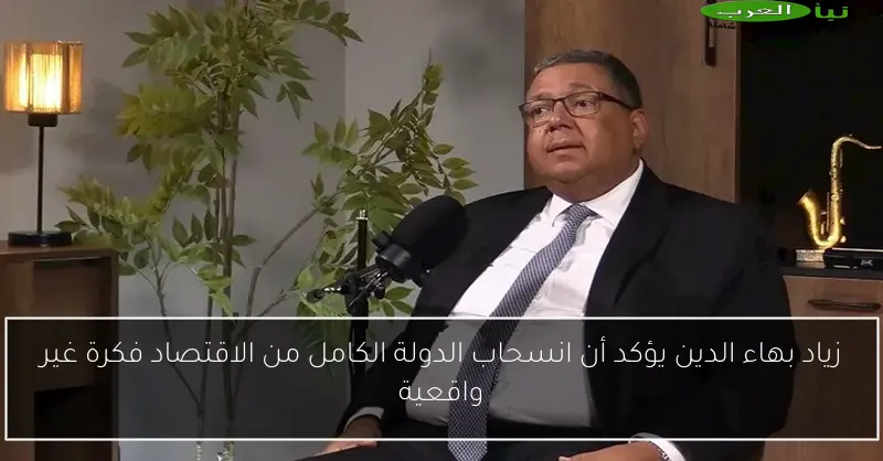 زياد بهاء الدين يؤكد أن انسحاب الدولة الكامل من الاقتصاد فكرة غير واقعية