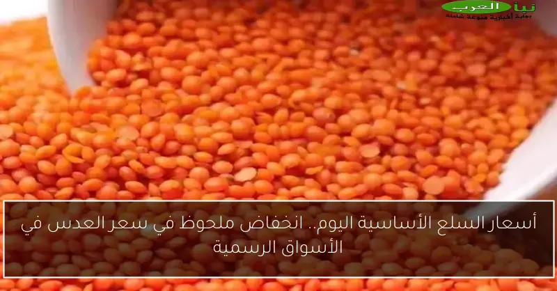 أسعار السلع الأساسية اليوم.. انخفاض ملحوظ في سعر العدس في الأسواق الرسمية