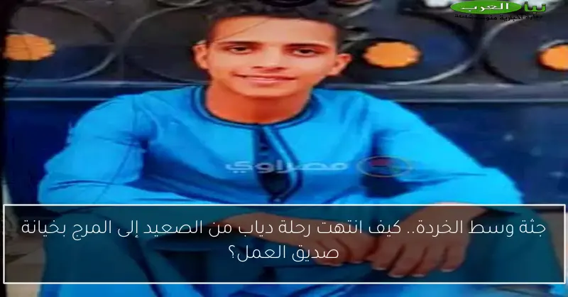 جثة وسط الخردة.. كيف انتهت رحلة دياب من الصعيد إلى المرج بخيانة صديق العمل؟