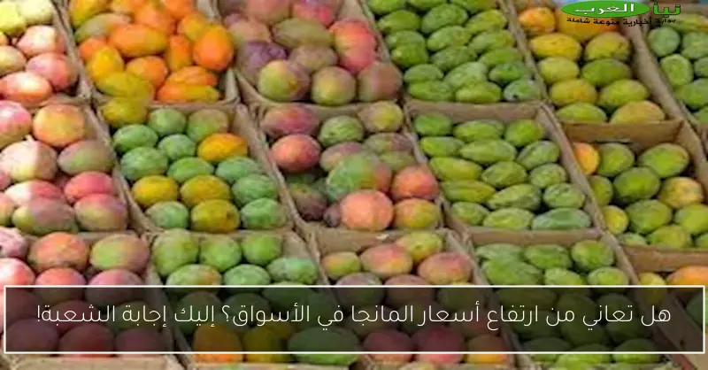 هل تعاني من ارتفاع أسعار المانجا في الأسواق؟ إليك إجابة الشعبة!