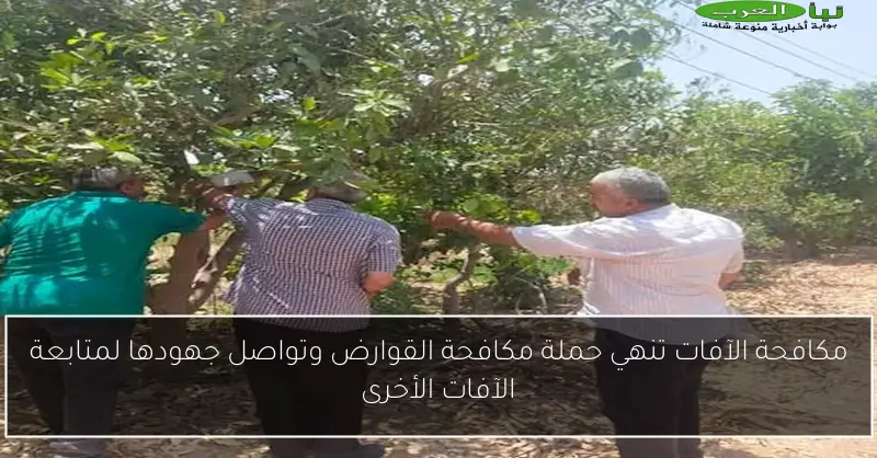 مكافحة الآفات تنهي حملة مكافحة القوارض وتواصل جهودها لمتابعة الآفات الأخرى