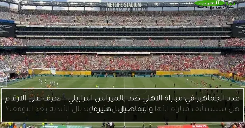 عدد الجماهير في مباراة الأهلي ضد بالميراس البرازيلي.. تعرف على الأرقام والتفاصيل المثيرة!