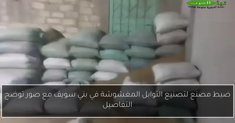 ضبط مصنع لتصنيع التوابل المغشوشة في بني سويف مع صور توضح التفاصيل