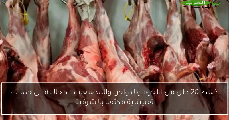 ضبط 20 طن من اللحوم والدواجن والمصنعات المخالفة في حملات تفتيشية مكثفة بالشرقية
