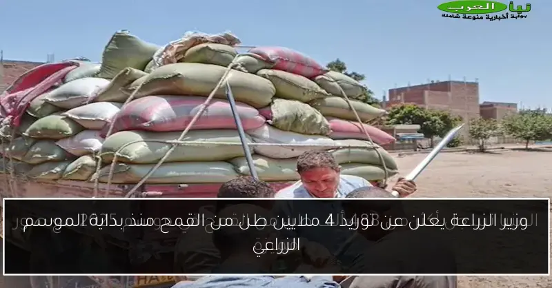 وزير الزراعة يعلن عن توريد 4 ملايين طن من القمح منذ بداية الموسم الزراعي