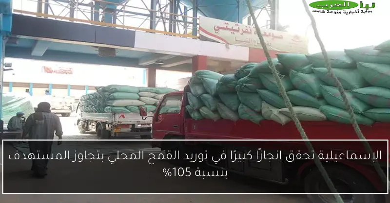 الإسماعيلية تحقق إنجازًا كبيرًا في توريد القمح المحلي بتجاوز المستهدف بنسبة 105%