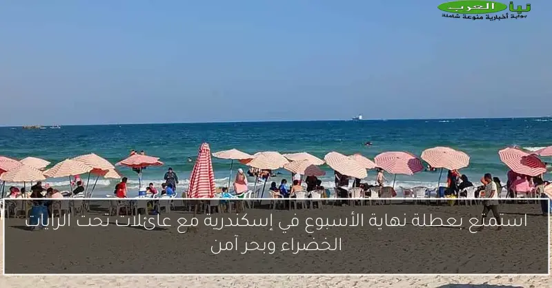 استمتع بعطلة نهاية الأسبوع في إسكندرية مع عائلات تحت الرايات الخضراء وبحر آمن