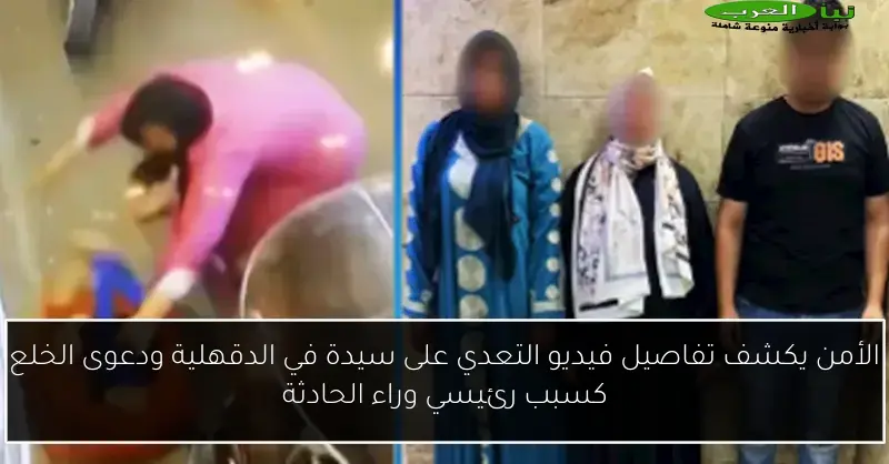 الأمن يكشف تفاصيل فيديو التعدي على سيدة في الدقهلية ودعوى الخلع كسبب رئيسي وراء الحادثة