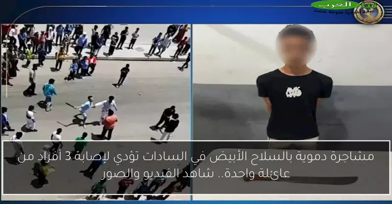 مشاجرة دموية بالسلاح الأبيض في السادات تؤدي لإصابة 3 أفراد من عائلة واحدة.. شاهد الفيديو والصور