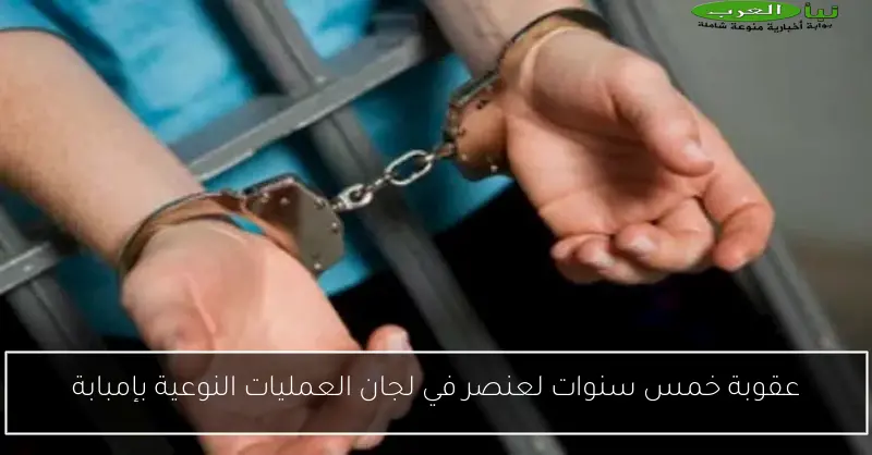 عقوبة خمس سنوات لعنصر في لجان العمليات النوعية بإمبابة