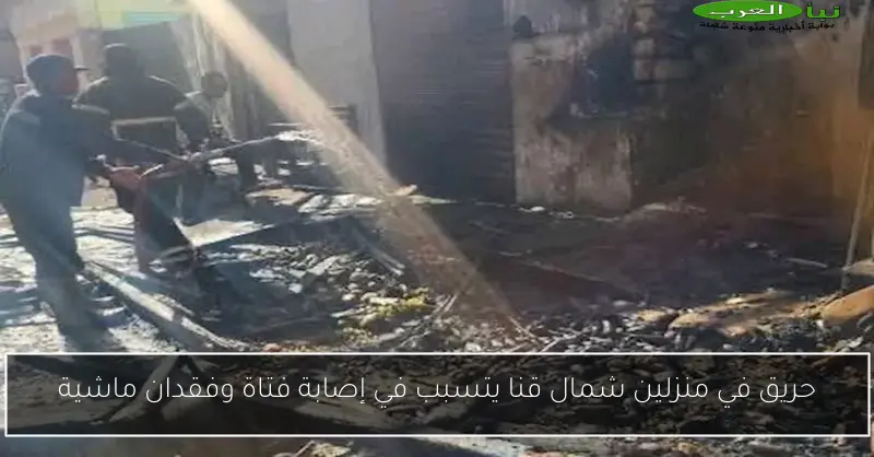 حريق في منزلين شمال قنا يتسبب في إصابة فتاة وفقدان ماشية