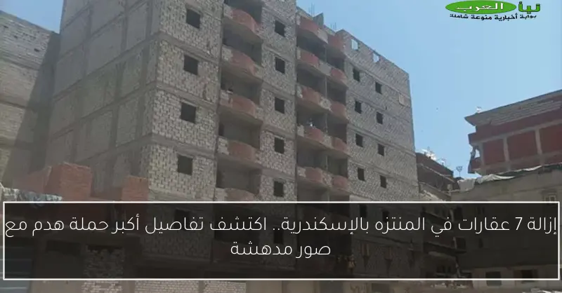 إزالة 7 عقارات في المنتزه بالإسكندرية.. اكتشف تفاصيل أكبر حملة هدم مع صور مدهشة