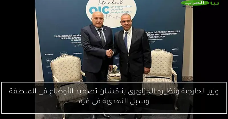 وزير الخارجية ونظيره الجزائري يناقشان تصعيد الأوضاع في المنطقة وسبل التهدئة في غزة