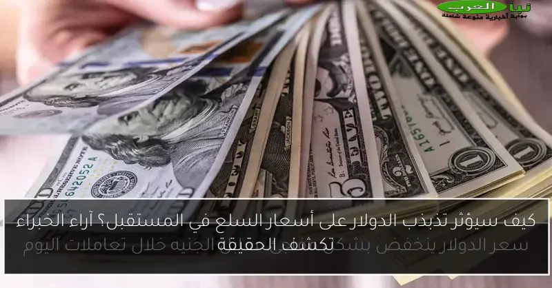 كيف سيؤثر تذبذب الدولار على أسعار السلع في المستقبل؟ آراء الخبراء تكشف الحقيقة