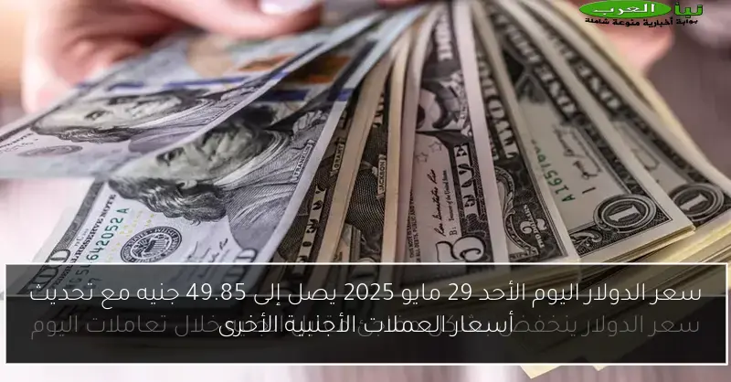 سعر الدولار اليوم الأحد 29 مايو 2025 يصل إلى 49.85 جنيه مع تحديث أسعار العملات الأجنبية الأخرى