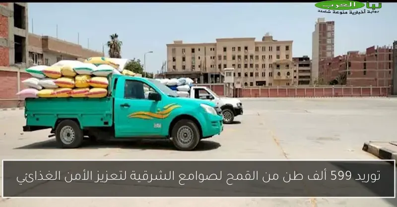توريد 599 ألف طن من القمح لصوامع الشرقية لتعزيز الأمن الغذائي