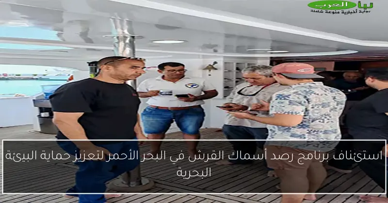 استئناف برنامج رصد أسماك القرش في البحر الأحمر لتعزيز حماية البيئة البحرية