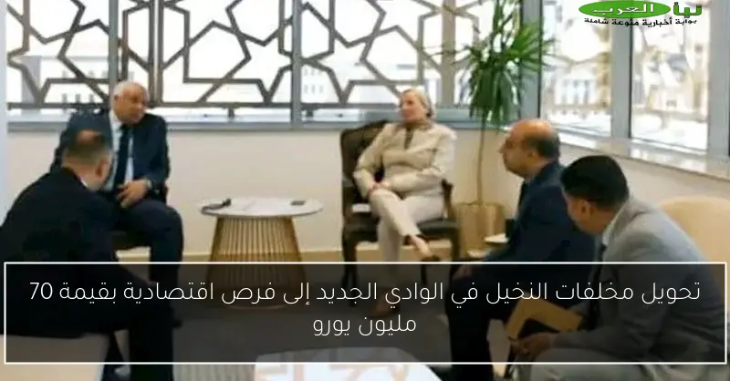 تحويل مخلفات النخيل في الوادي الجديد إلى فرص اقتصادية بقيمة 70 مليون يورو