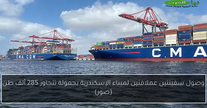 وصول سفينتين عملاقتين لميناء الإسكندرية بحمولة تتجاوز 285 ألف طن (صور)