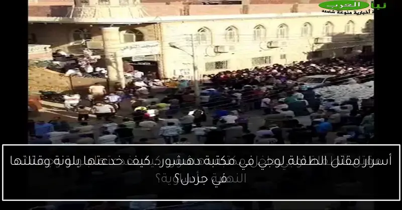 أسرار مقتل الطفلة لوجي في مكتبة دهشور.. كيف خدعتها بلونة وقتلتها في جردل؟