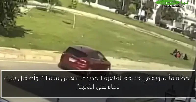 لحظة مأساوية في حديقة القاهرة الجديدة.. دهس سيدات وأطفال يترك دماء على النجيلة