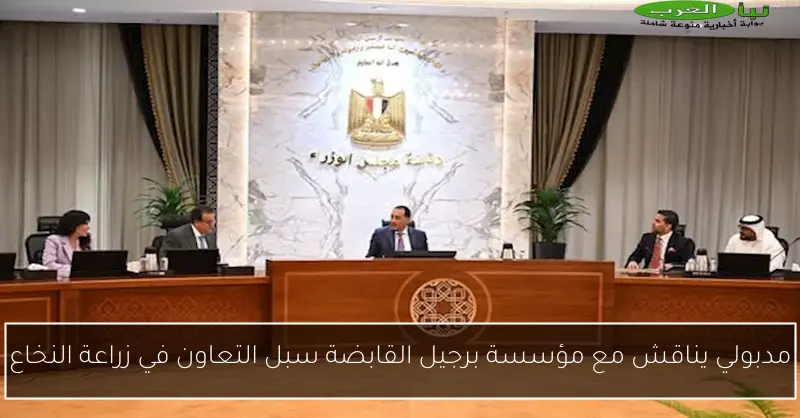 مدبولي يناقش مع مؤسسة برجيل القابضة سبل التعاون في زراعة النخاع