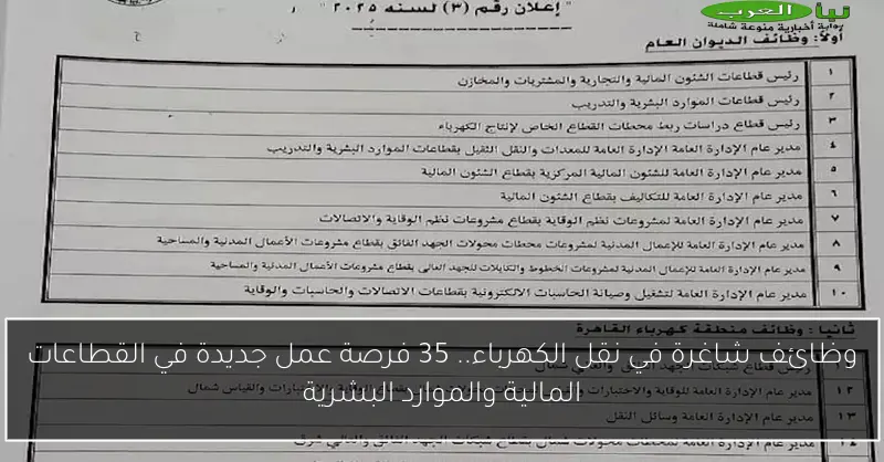 وظائف شاغرة في نقل الكهرباء.. 35 فرصة عمل جديدة في القطاعات المالية والموارد البشرية