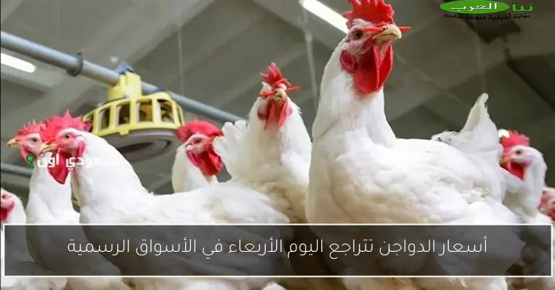 أسعار الدواجن في الأسواق اليوم الجمعة مع تحديثات رسمية