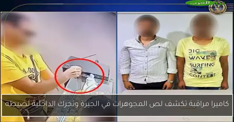 كاميرا مراقبة تكشف لص المجوهرات في الجيزة وتحرك الداخلية لضبطه