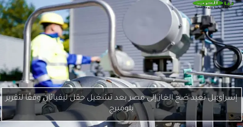 إسرائيل تعيد ضخ الغاز إلى مصر بعد تشغيل حقل ليفياثان وفقًا لتقرير بلومبرج