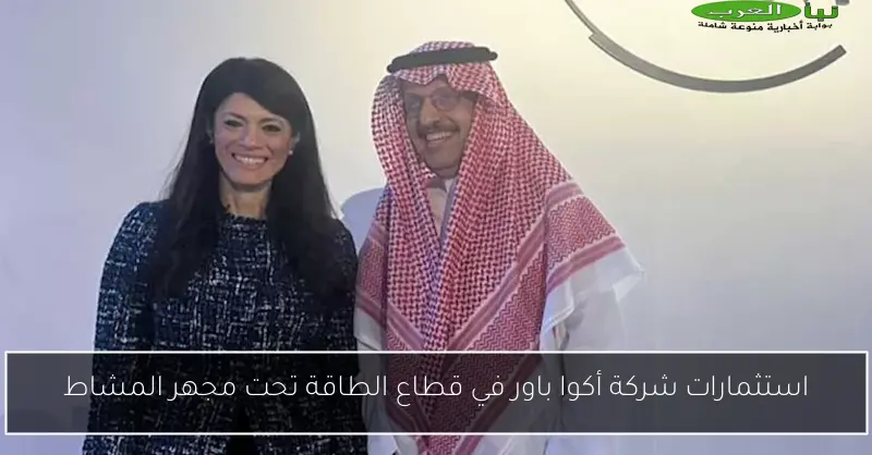 استثمارات شركة أكوا باور في قطاع الطاقة تحت مجهر المشاط