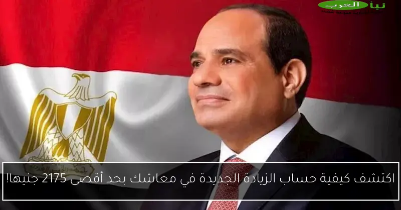 اكتشف كيفية حساب الزيادة الجديدة في معاشك بحد أقصى 2175 جنيها!