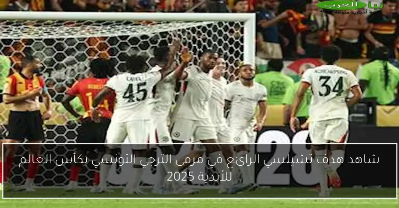 شاهد هدف تشيلسي الرائع في مرمى الترجي التونسي بكأس العالم للأندية 2025