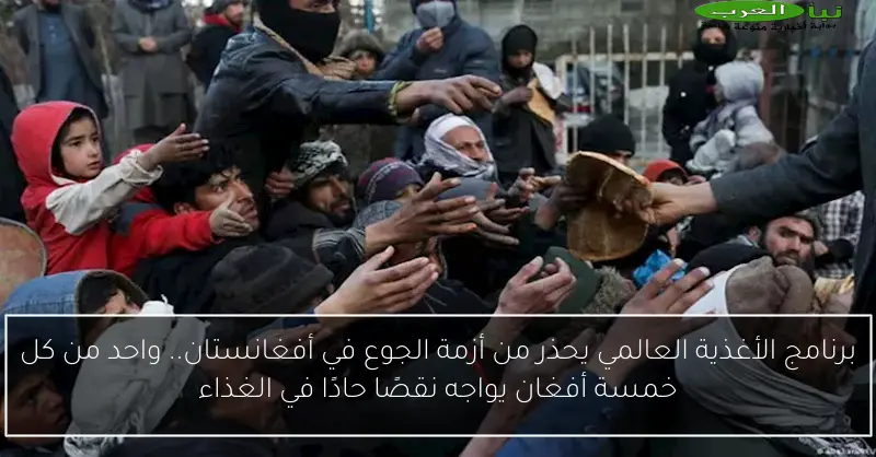 برنامج الأغذية العالمي يحذر من أزمة الجوع في أفغانستان.. واحد من كل خمسة أفغان يواجه نقصًا حادًا في الغذاء