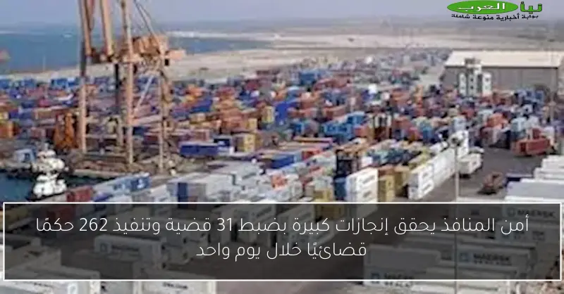 أمن المنافذ يحقق إنجازات كبيرة بضبط 31 قضية وتنفيذ 262 حكمًا قضائيًا خلال يوم واحد
