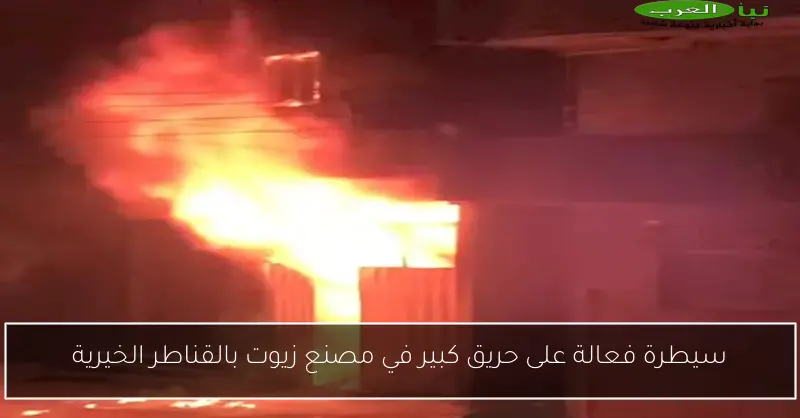سيطرة فعالة على حريق كبير في مصنع زيوت بالقناطر الخيرية