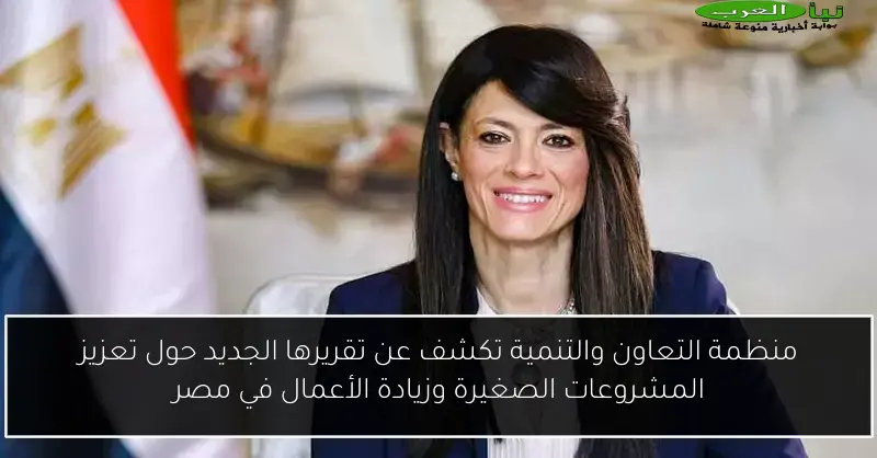 منظمة التعاون والتنمية تكشف عن تقريرها الجديد حول تعزيز المشروعات الصغيرة وزيادة الأعمال في مصر