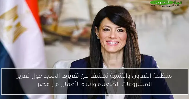 منظمة التعاون والتنمية تكشف عن تقريرها الجديد حول تعزيز المشروعات الصغيرة وزيادة الأعمال في مصر